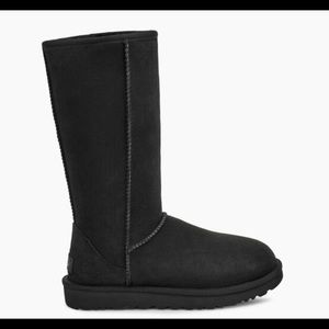 Black Tall Ugg Boots